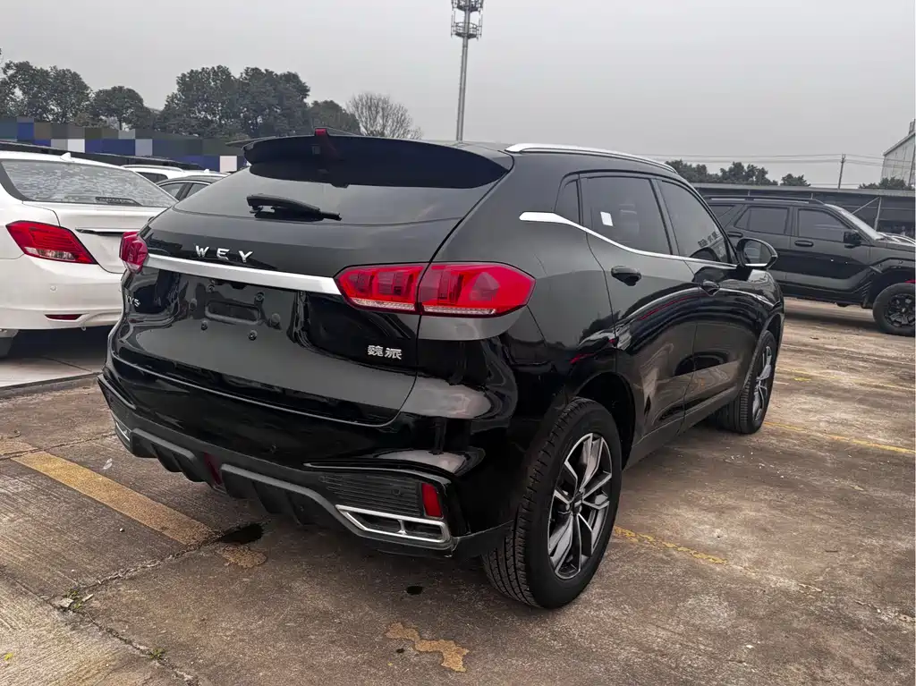 WEI PAI WEI BRAND VV5