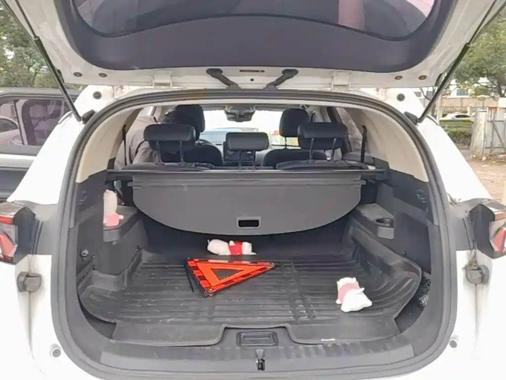 BYD Tang — миниатюра 19