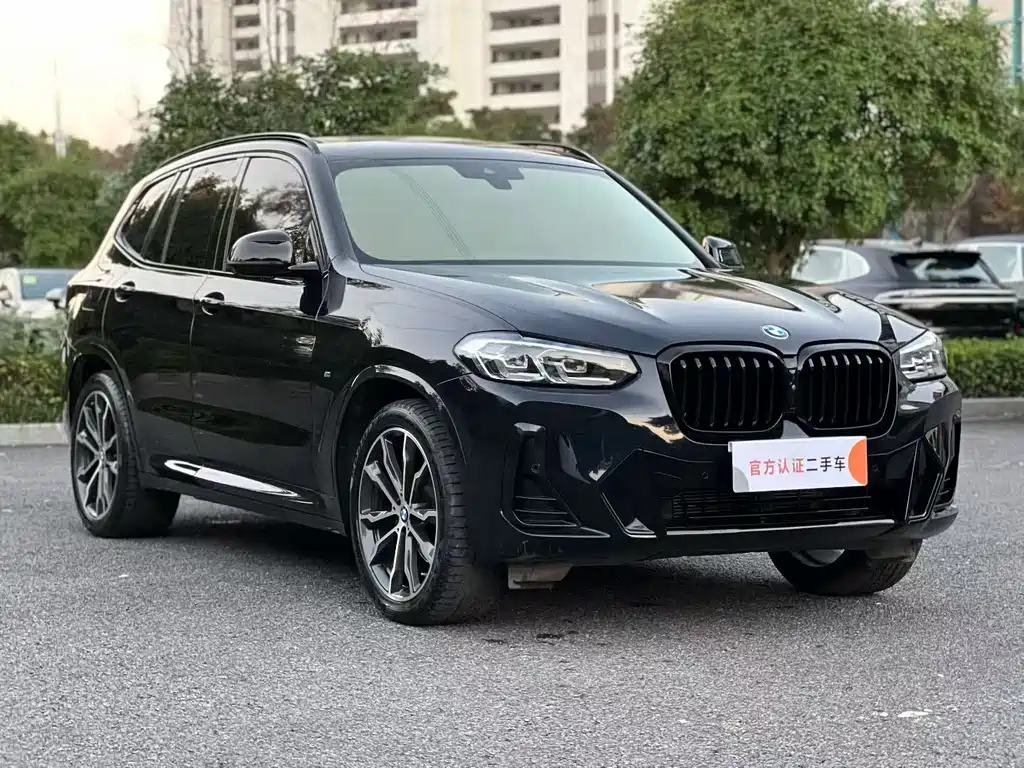BMW X3 — миниатюра 3