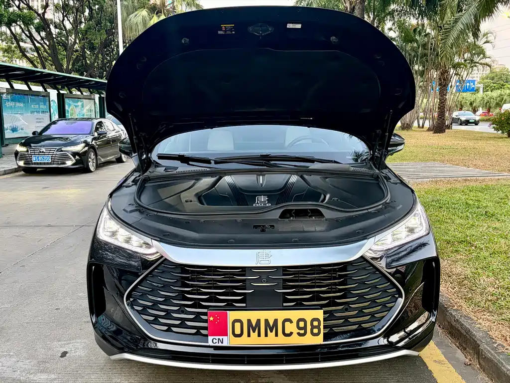 BYD Tang New Energy — миниатюра 28
