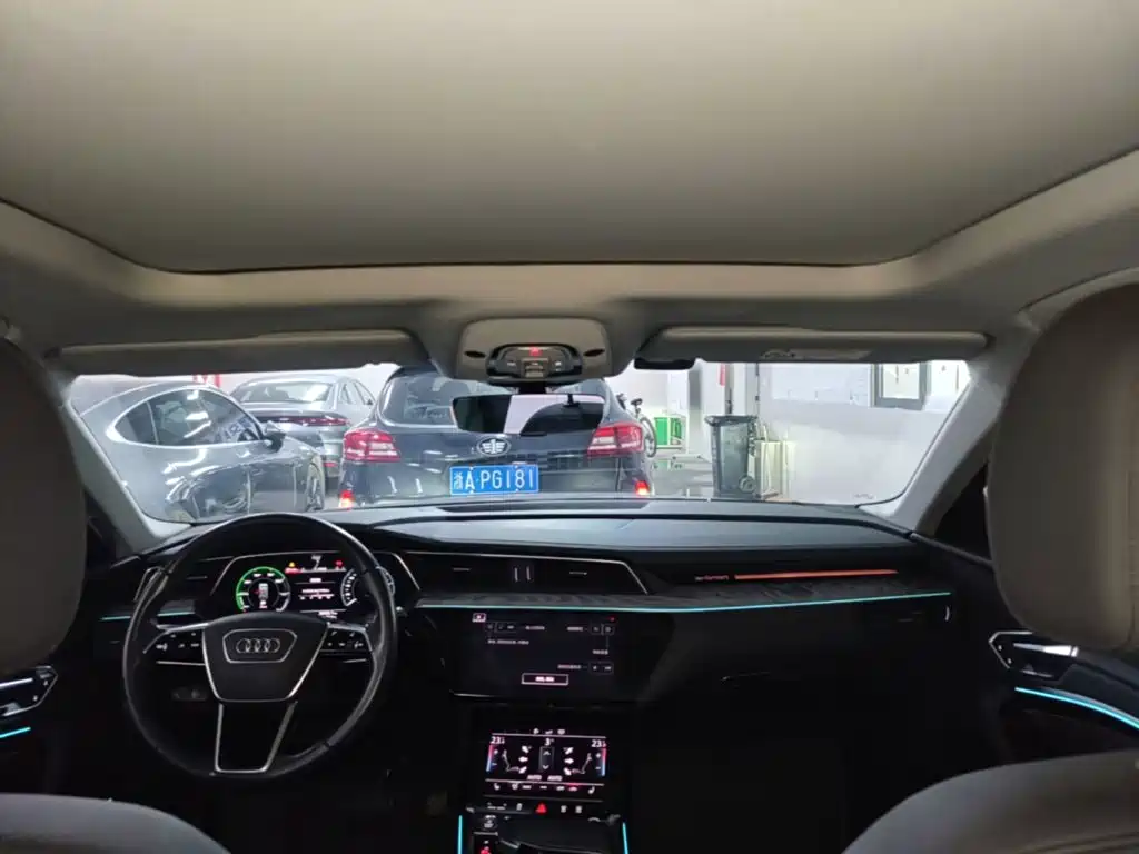Audi e-tron (Import) — миниатюра 18