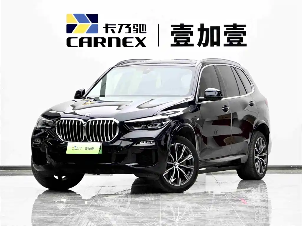 BMW X5 New Energy (Import) 2021