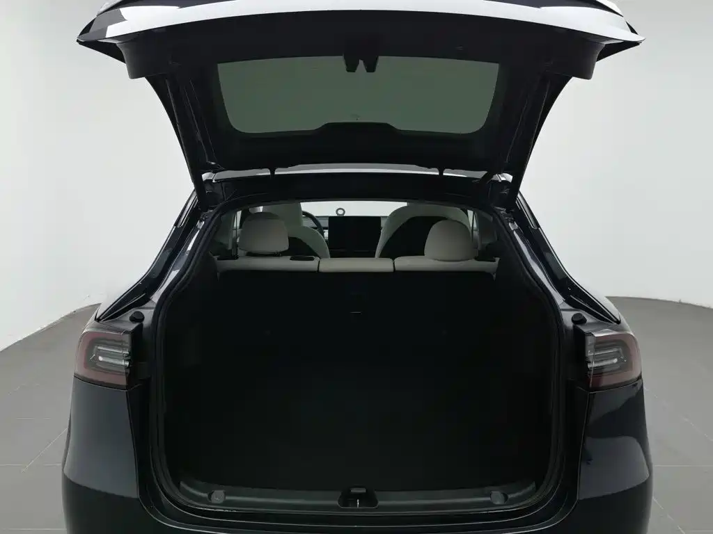 Tesla Model Y — миниатюра 16