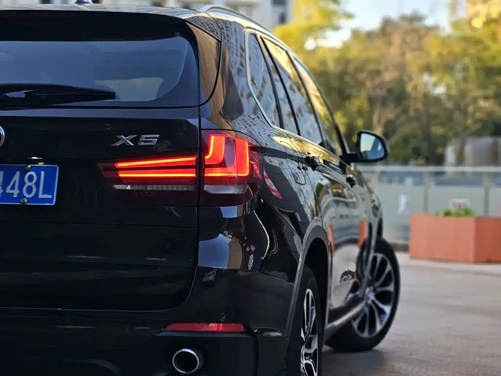 BMW X5 (Import) — миниатюра 9