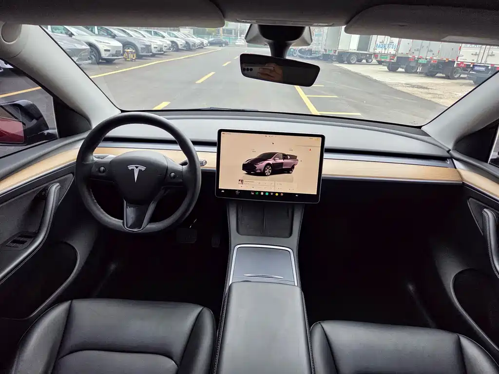Tesla Model Y — миниатюра 10