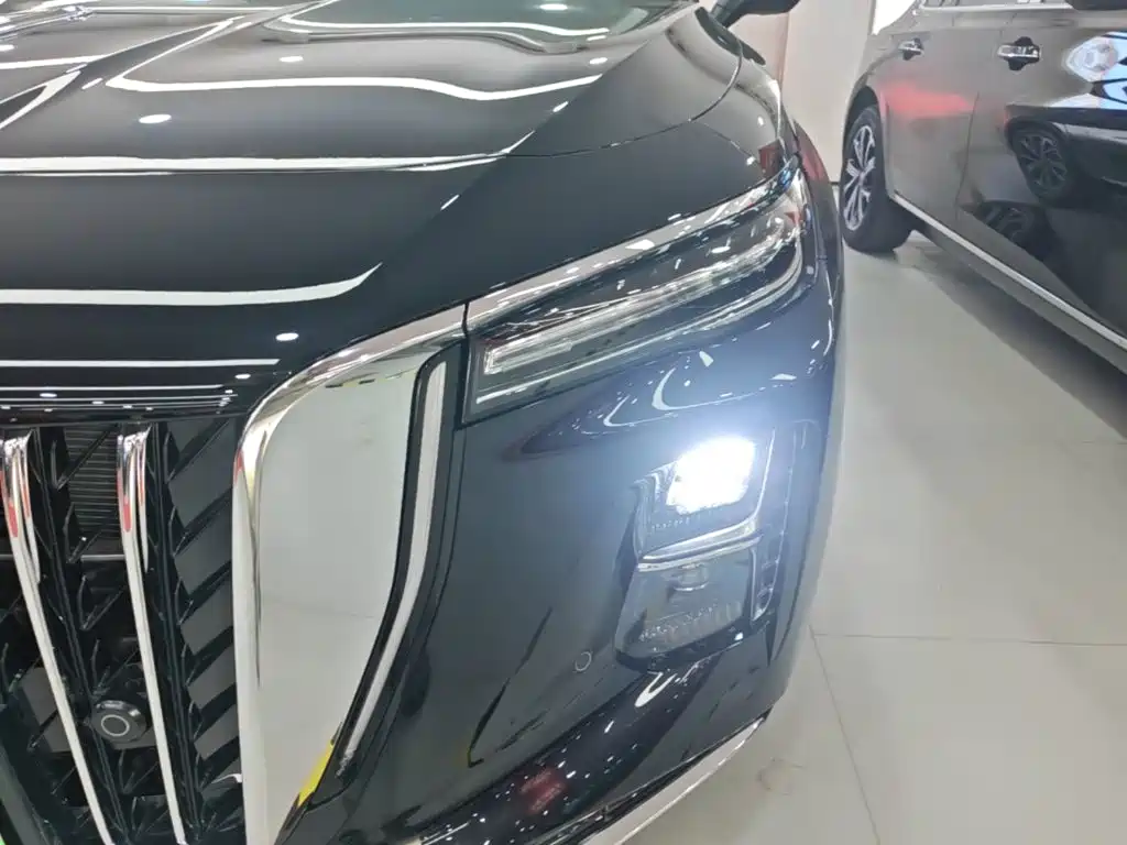 Hongqi Hongqi H5 PHEV — миниатюра 24