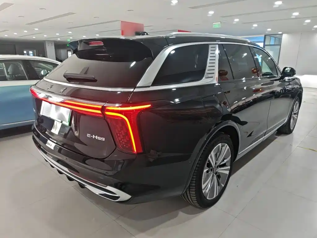 Hongqi Hongqi E-HS9 — миниатюра 7