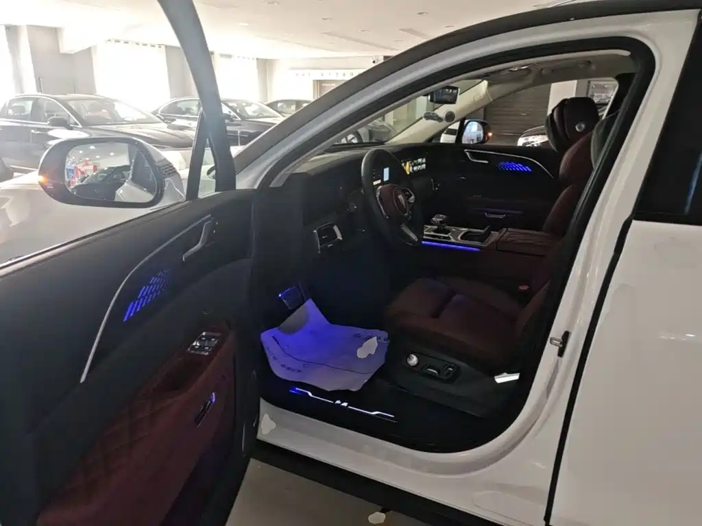 Hongqi Hongqi E-HS9 — миниатюра 16