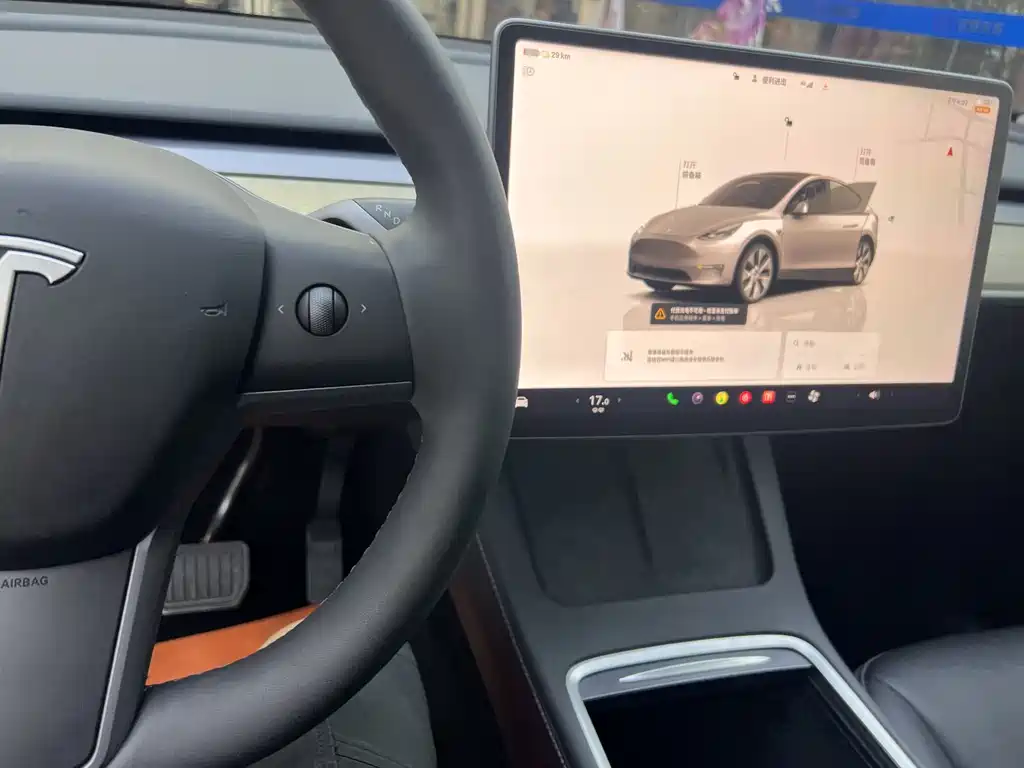 Tesla Model Y — миниатюра 4