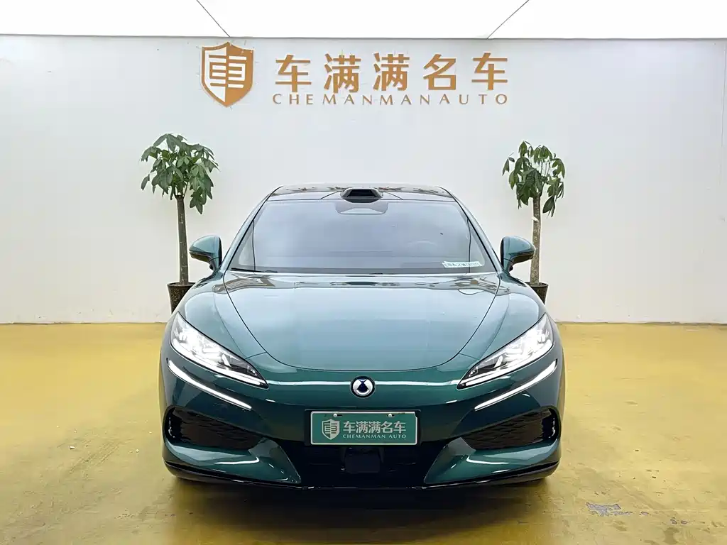 Denza Denza Z9GT — миниатюра 2
