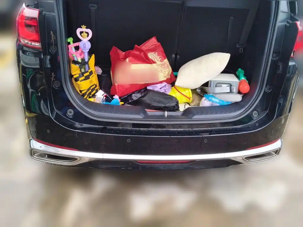 GAC Motor Trumpchi M8 — миниатюра 10