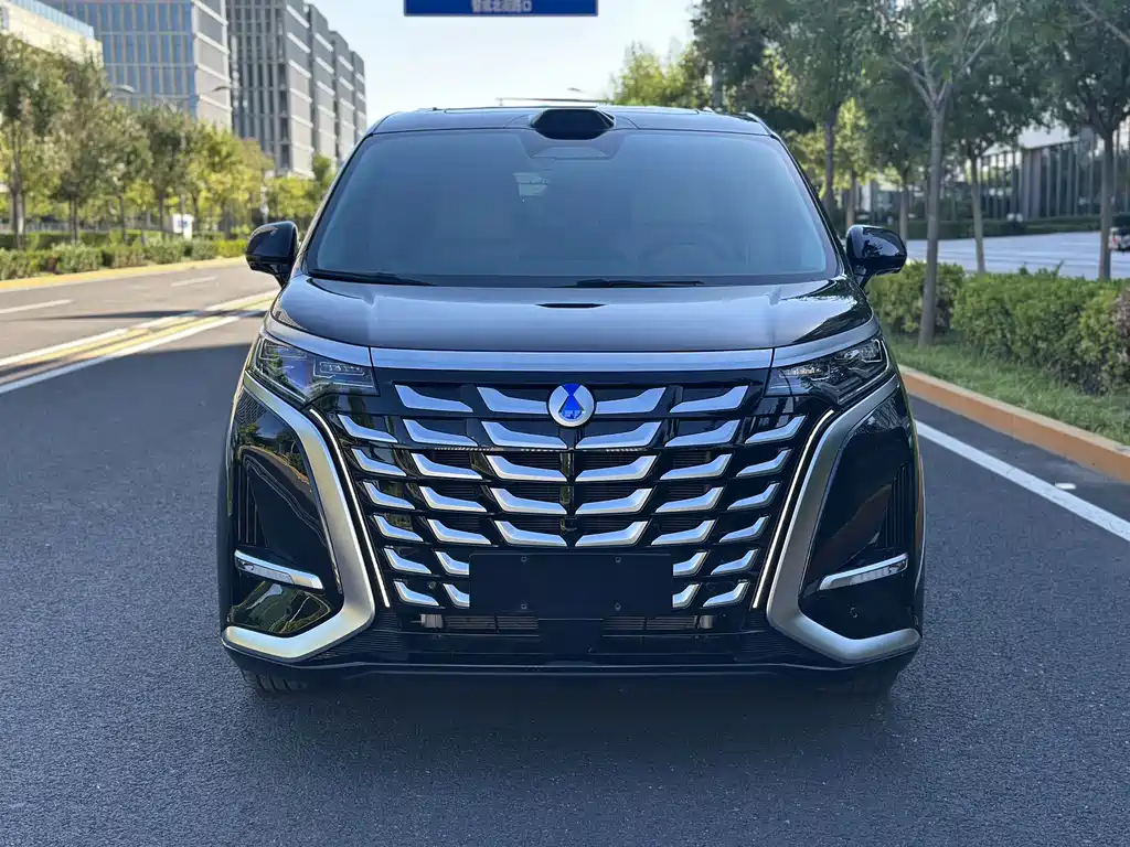 Denza Denza D9 — миниатюра 2