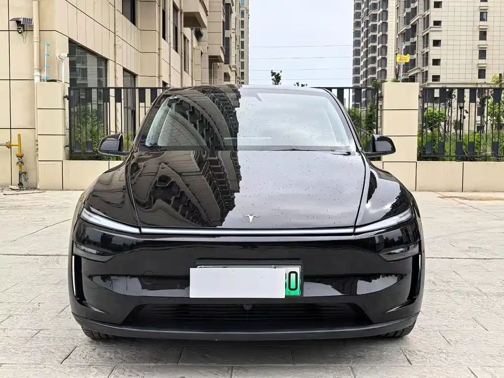 Tesla Model Y — миниатюра 2