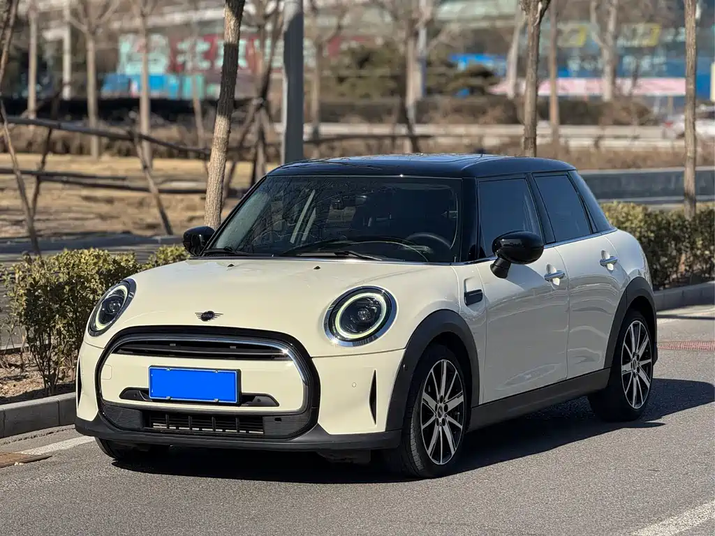 Mini Mini 2022
