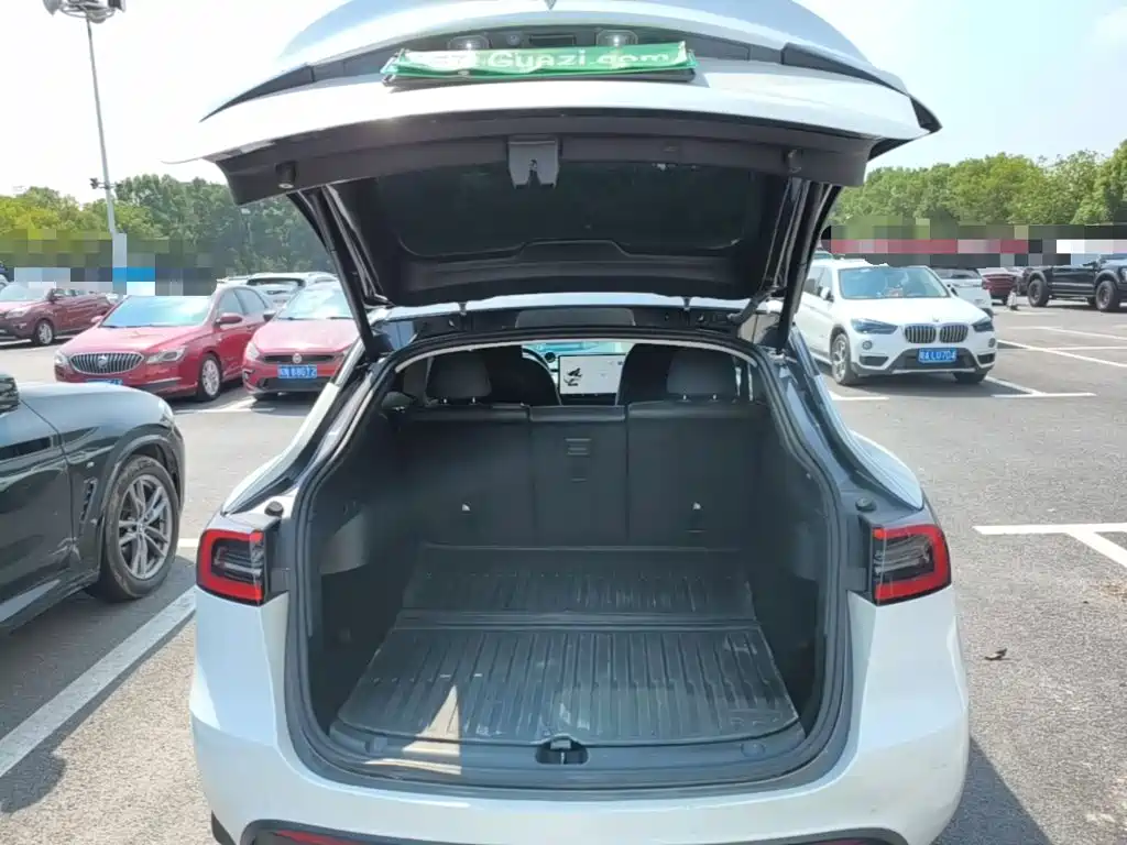 Tesla Model Y — миниатюра 19