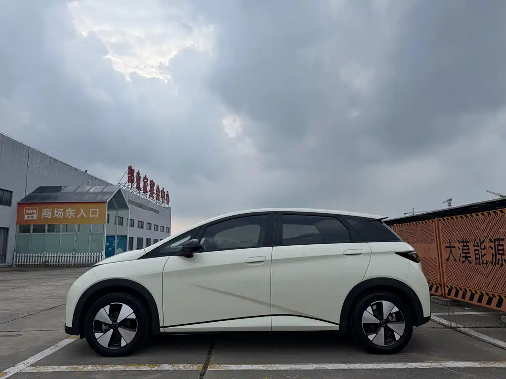 BYD Dolphin — миниатюра 7