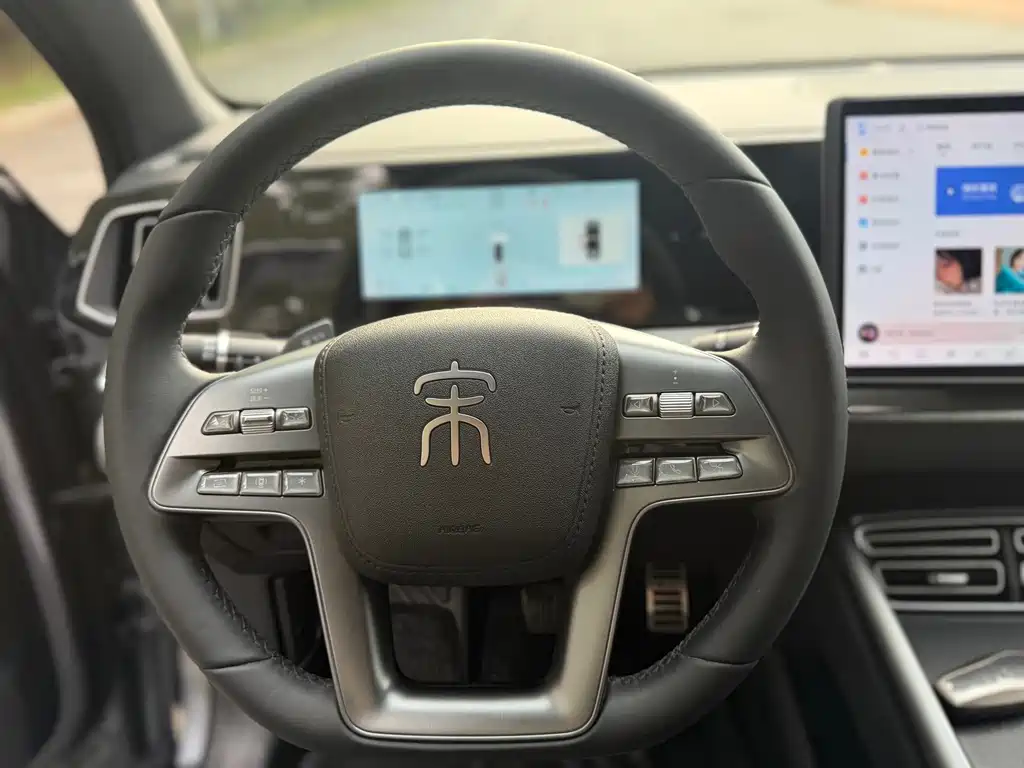 BYD Pro New Energy — миниатюра 18
