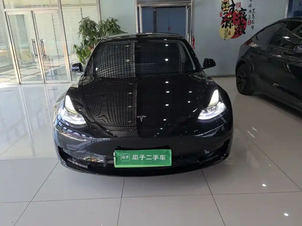 Tesla Model 3 — миниатюра 3