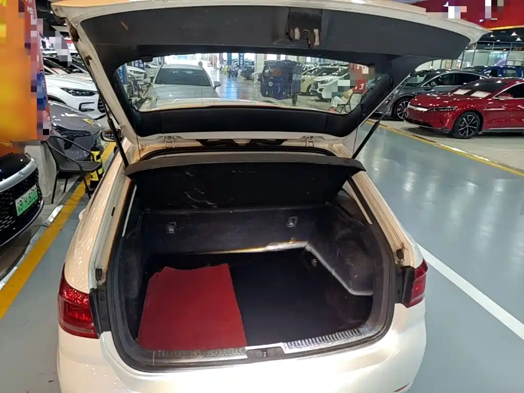 Volkswagen Gran Lavida — миниатюра 19
