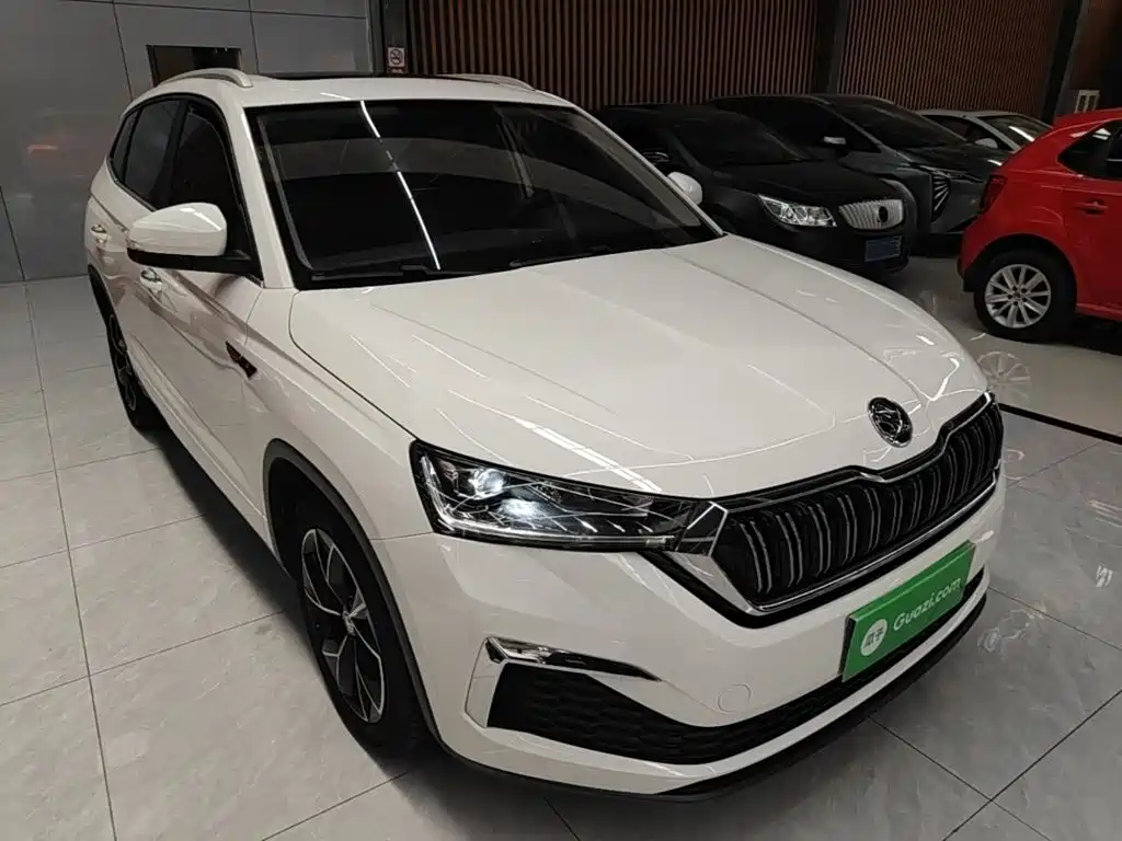 Skoda Kamiq — миниатюра 4