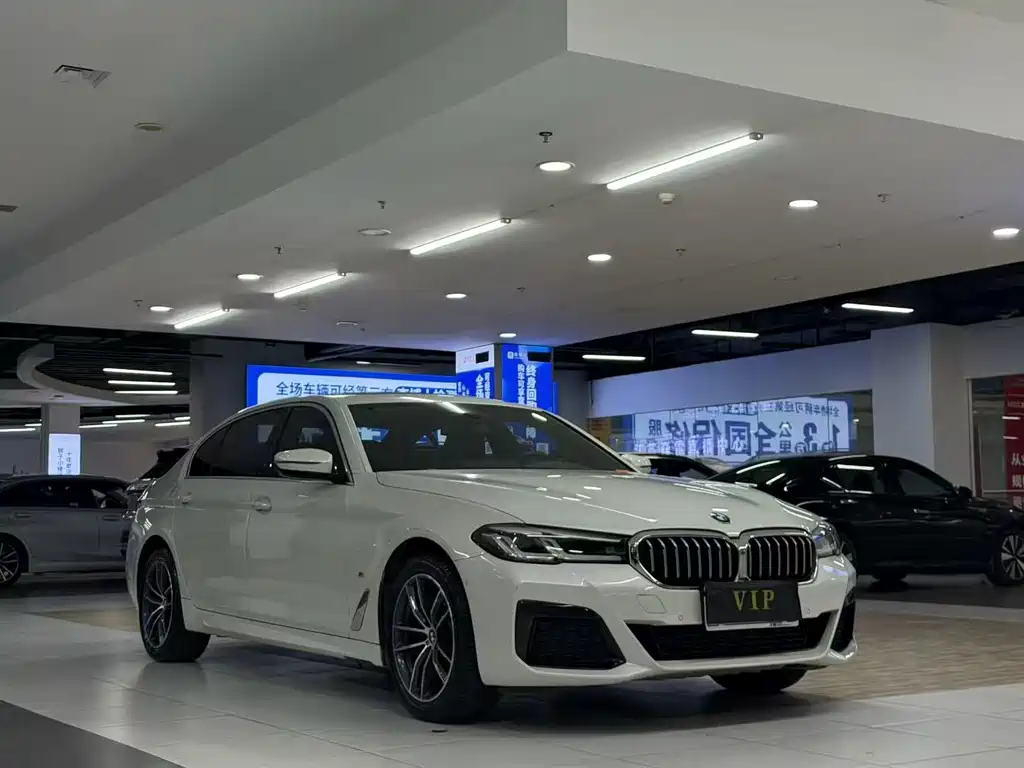 BMW 5 Series — миниатюра 3