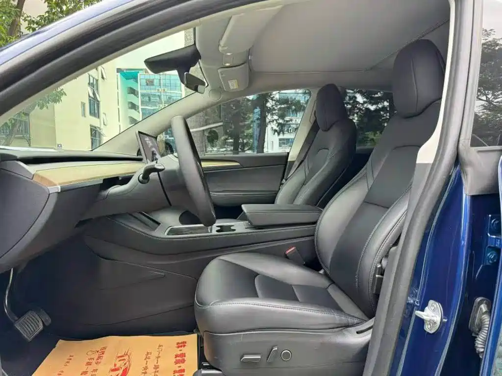 Tesla Model Y — миниатюра 4