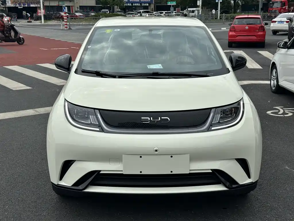 BYD Dolphin — миниатюра 2