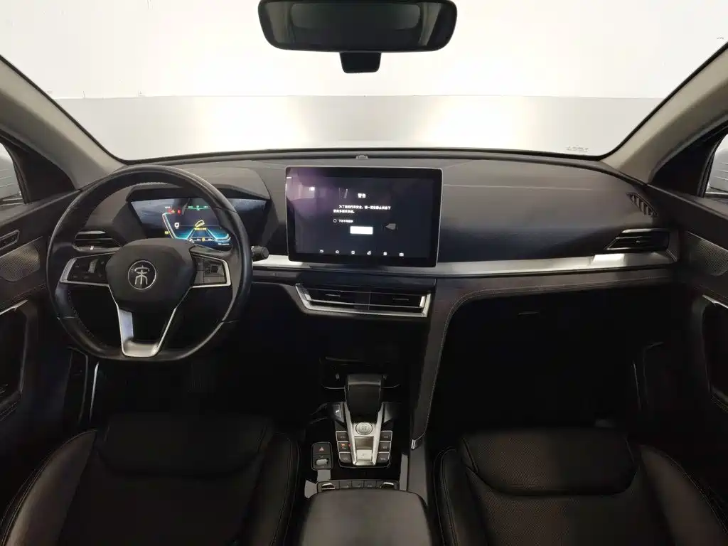BYD Pro New Energy — миниатюра 5
