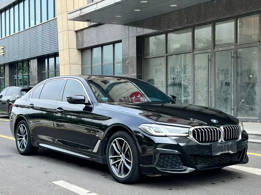BMW 5 Series — миниатюра 3