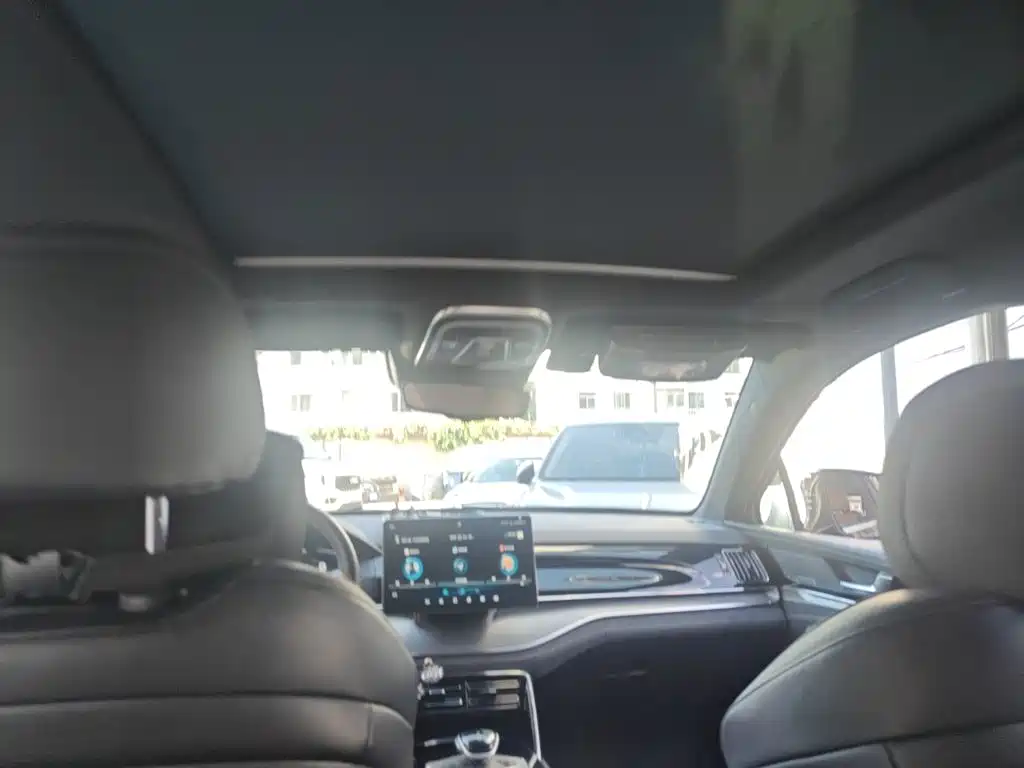 BYD Tang New Energy — миниатюра 14