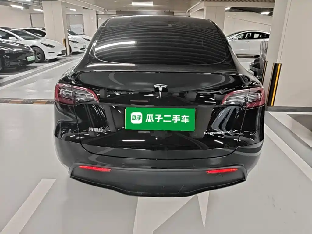 Tesla Model Y — миниатюра 6