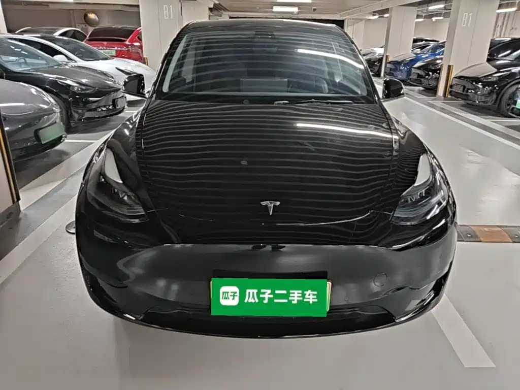 Tesla Model Y — миниатюра 3