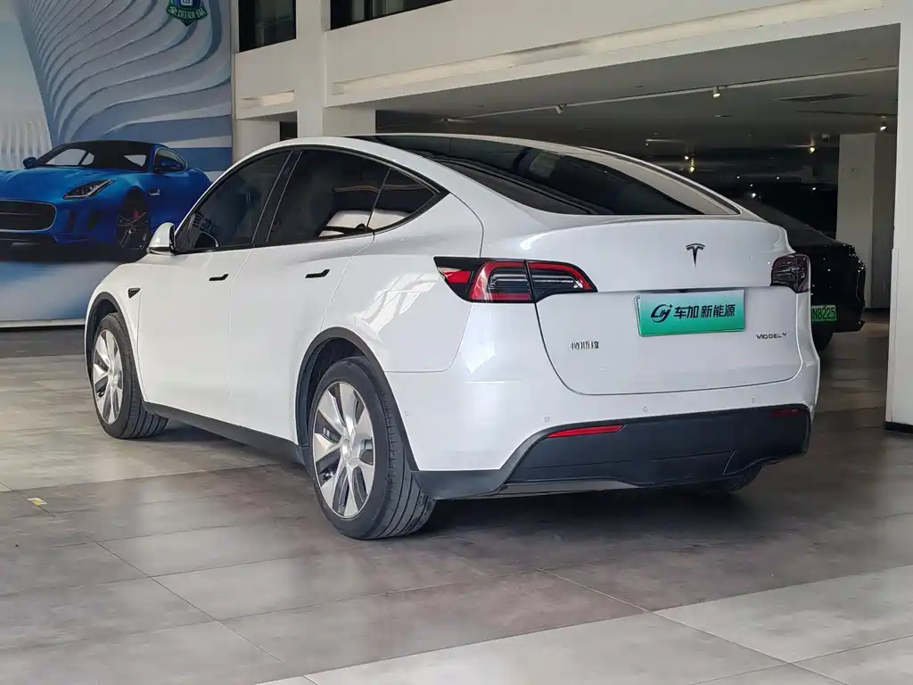 Tesla Model Y — миниатюра 9