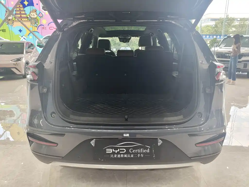 BYD Tang New Energy — миниатюра 16