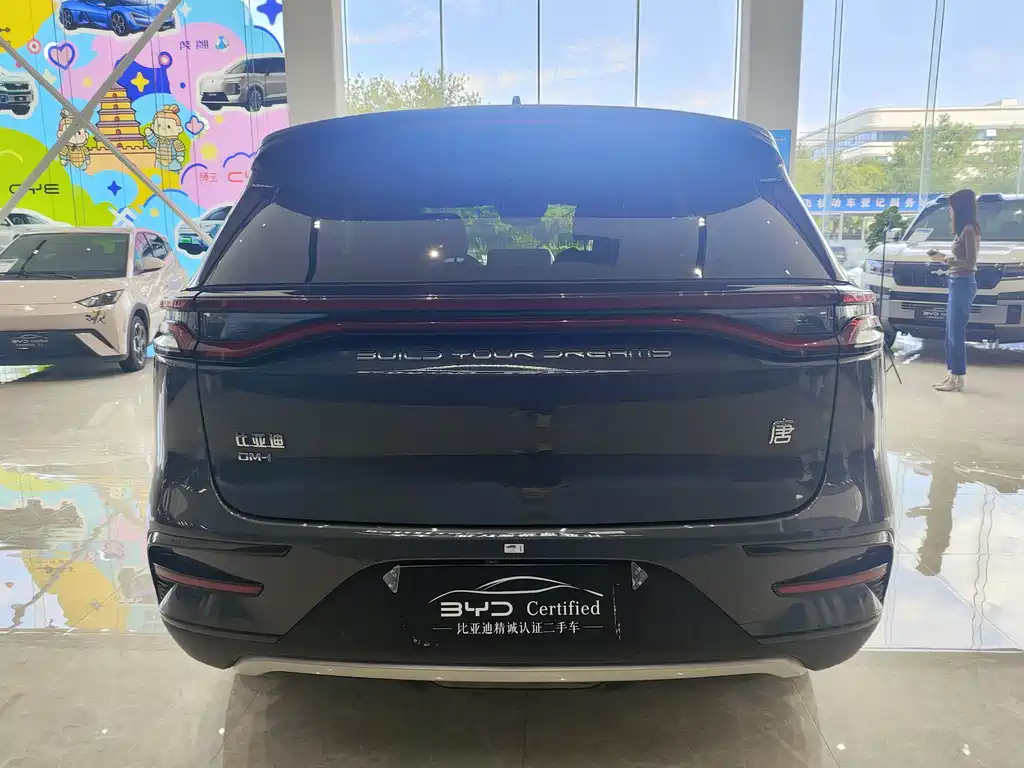 BYD Tang New Energy — миниатюра 6