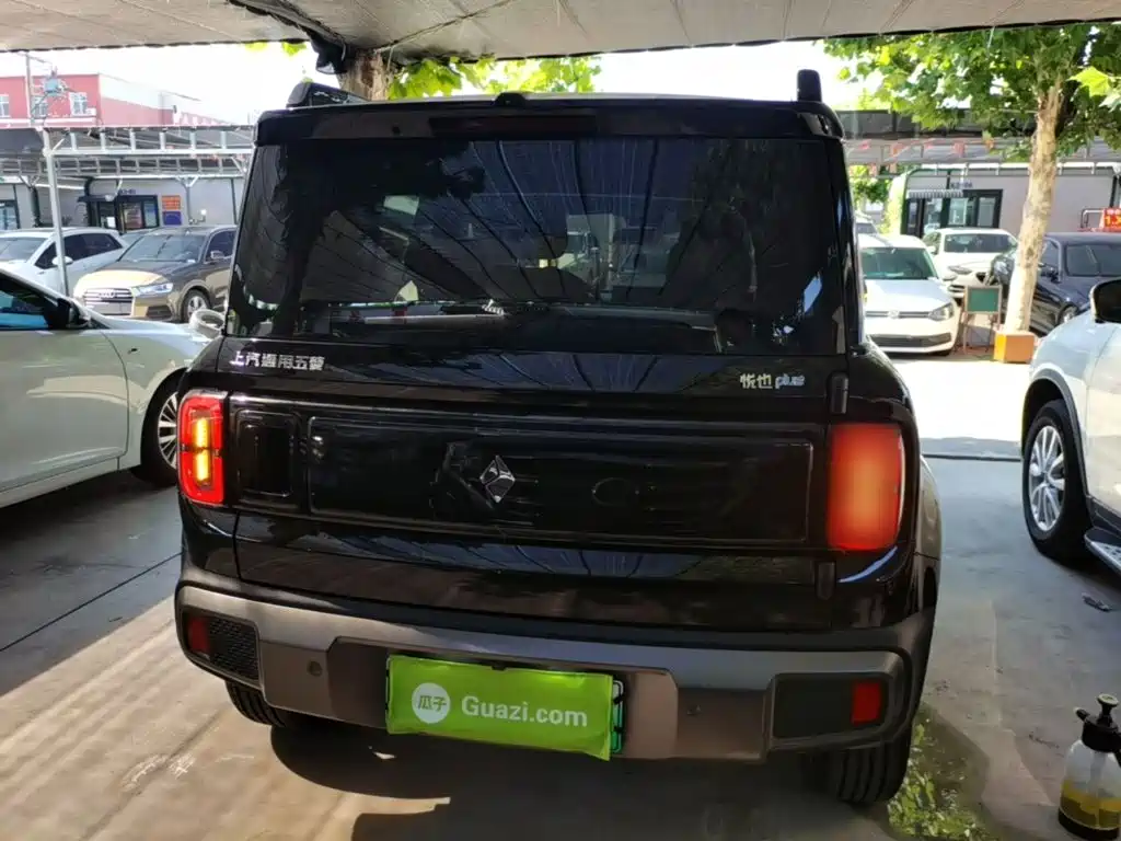 Baojun YepPlus Plus 2026 301km Flagship