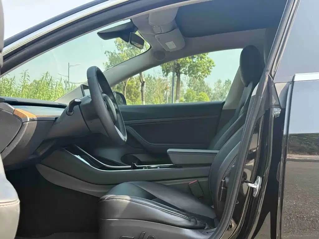 Tesla Model 3 — миниатюра 4