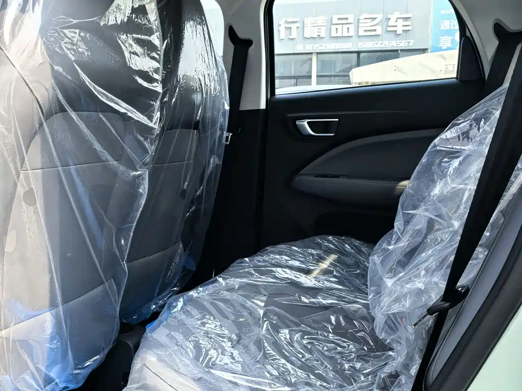 Leapmotor T03 2025 310