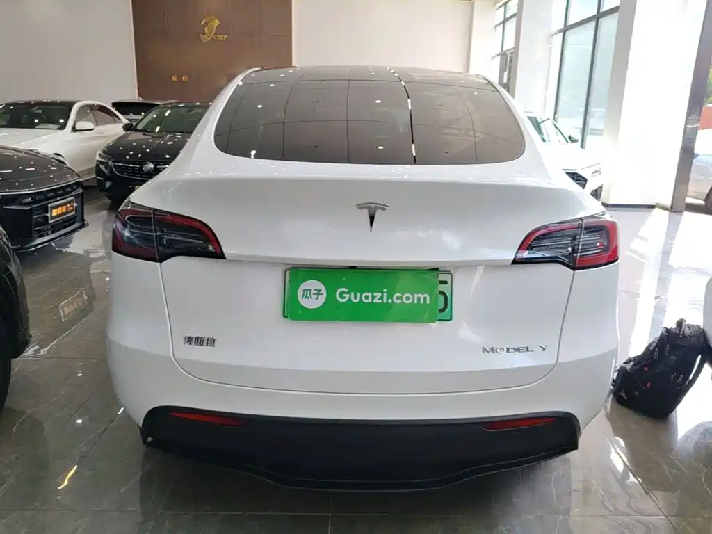 Tesla Model Y — миниатюра 6