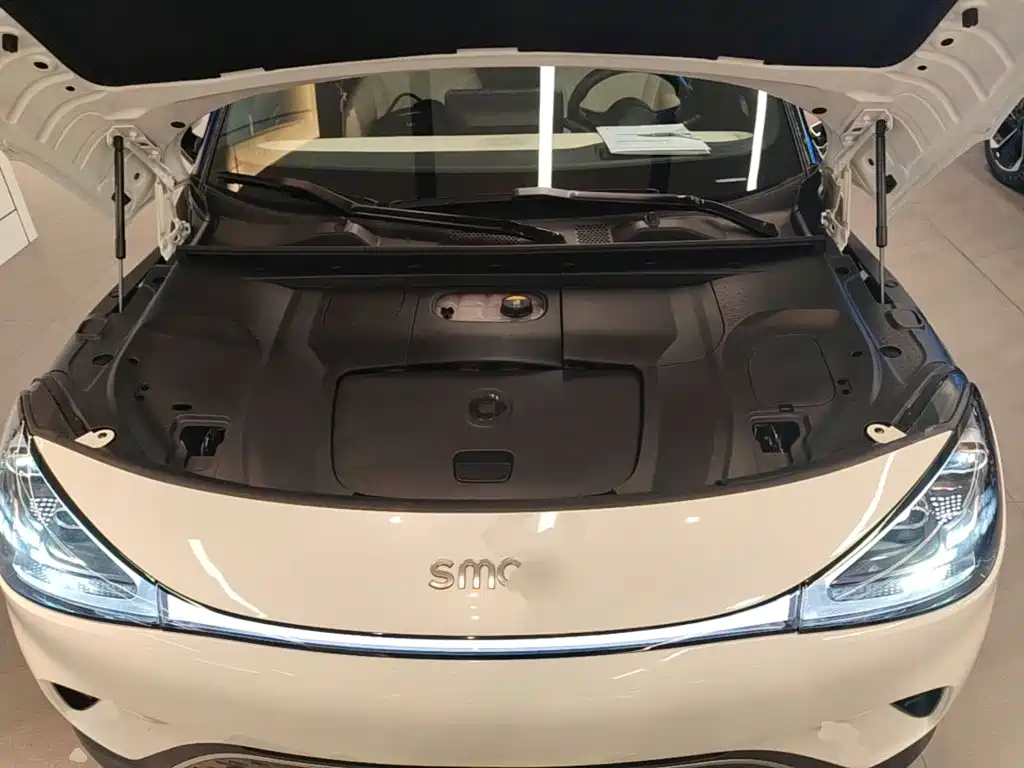 smart Smart #1 — миниатюра 25