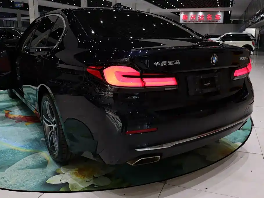 BMW 5 Series — миниатюра 21