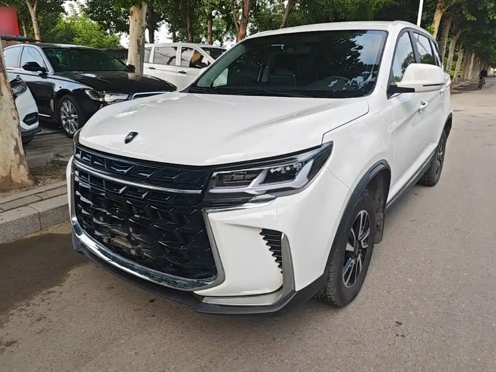 Fengxing Fengxing T5