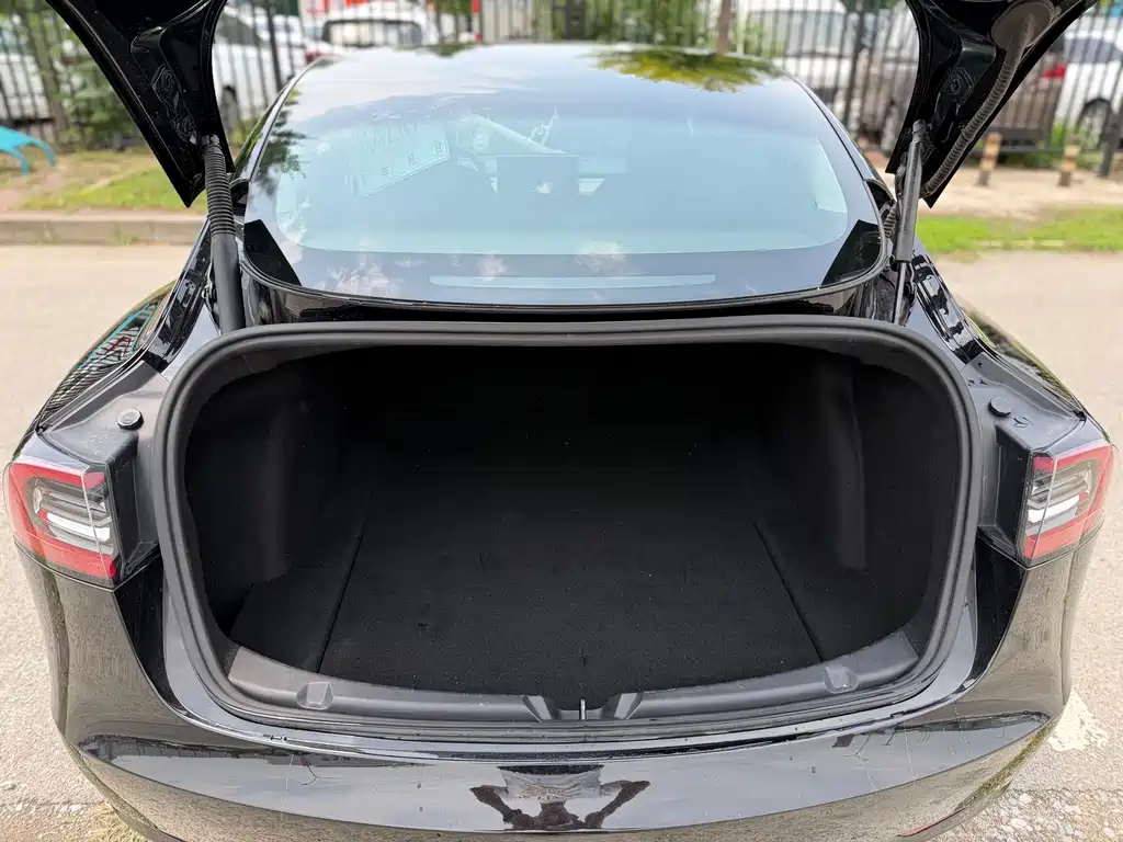 Tesla Model 3 — миниатюра 16