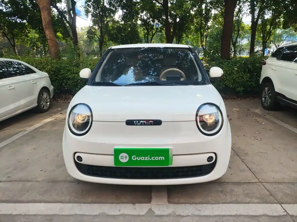 Qiyuan Lumin — миниатюра 3