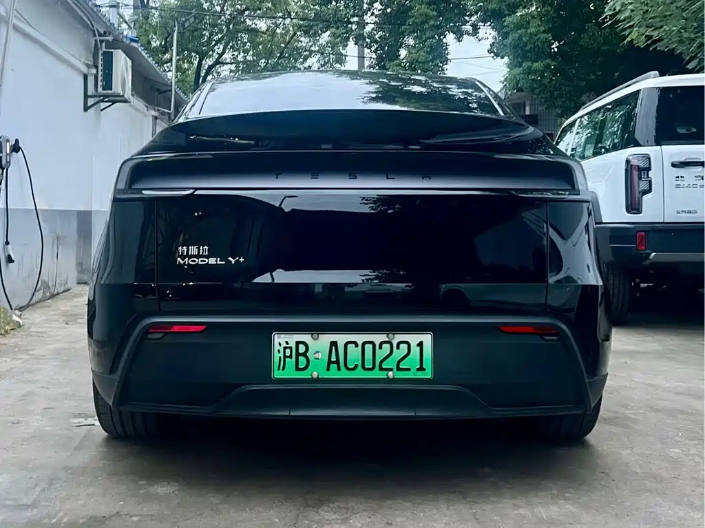 Tesla Model Y — миниатюра 5
