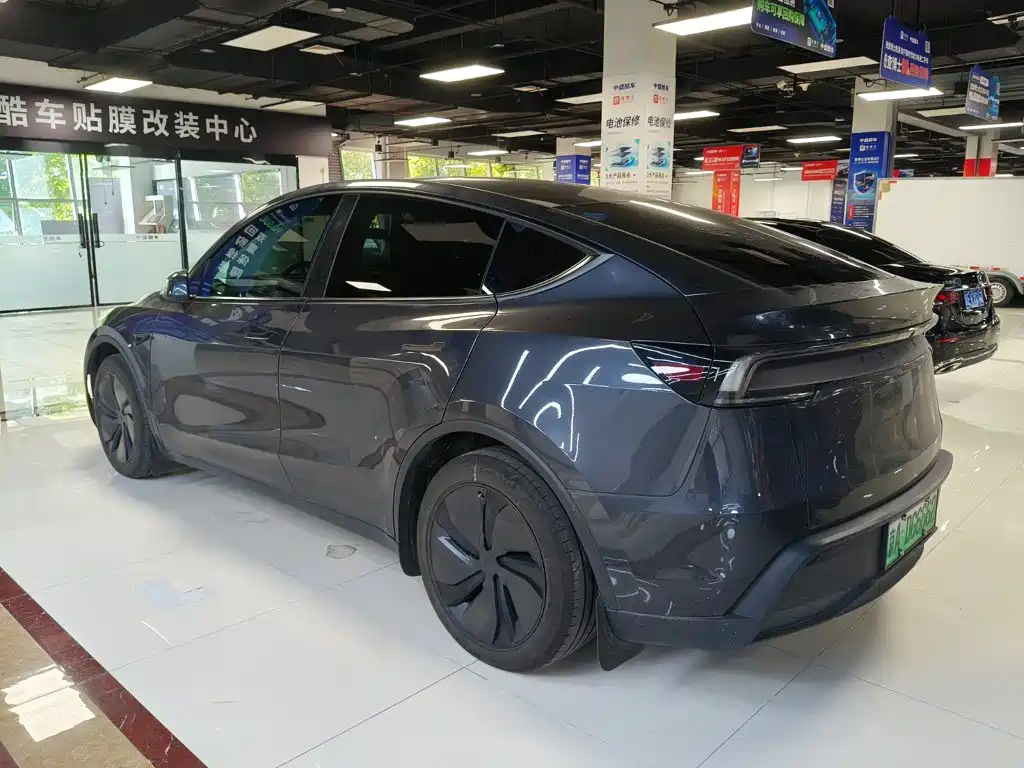 Tesla Model Y — миниатюра 5