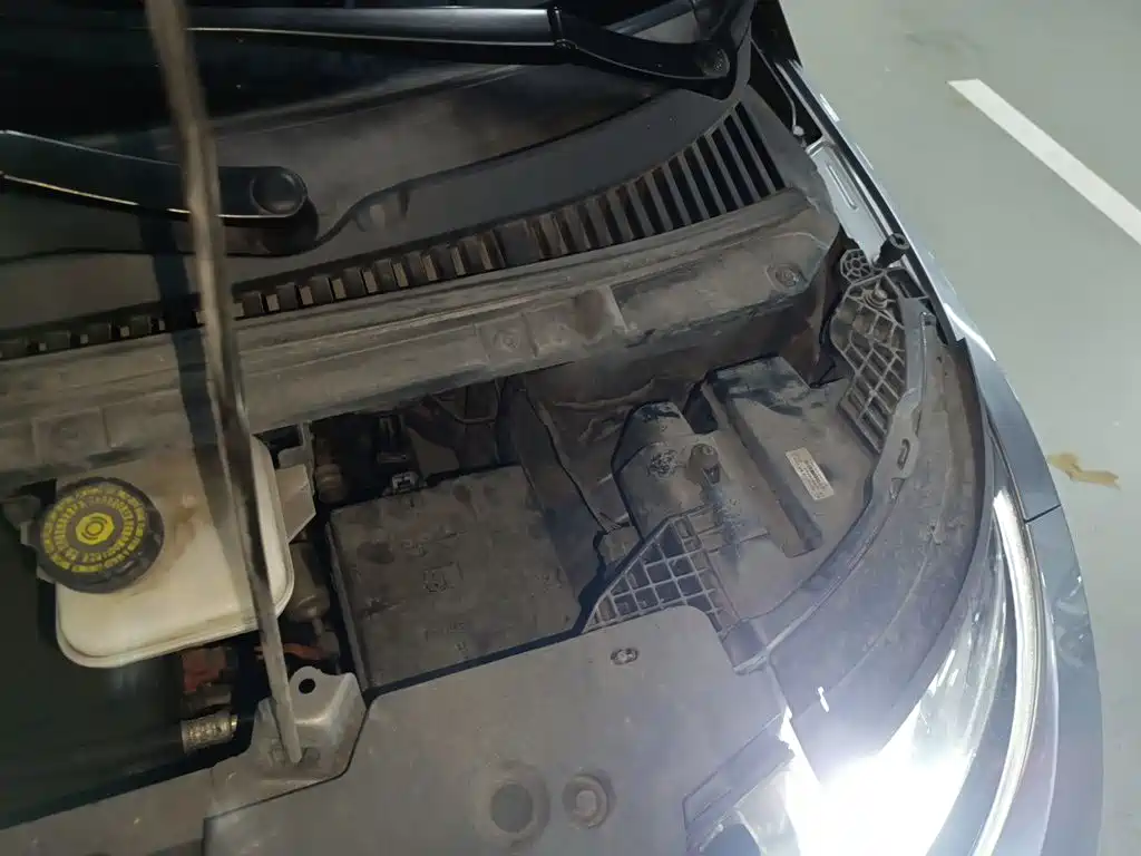 BYD Dolphin — миниатюра 22