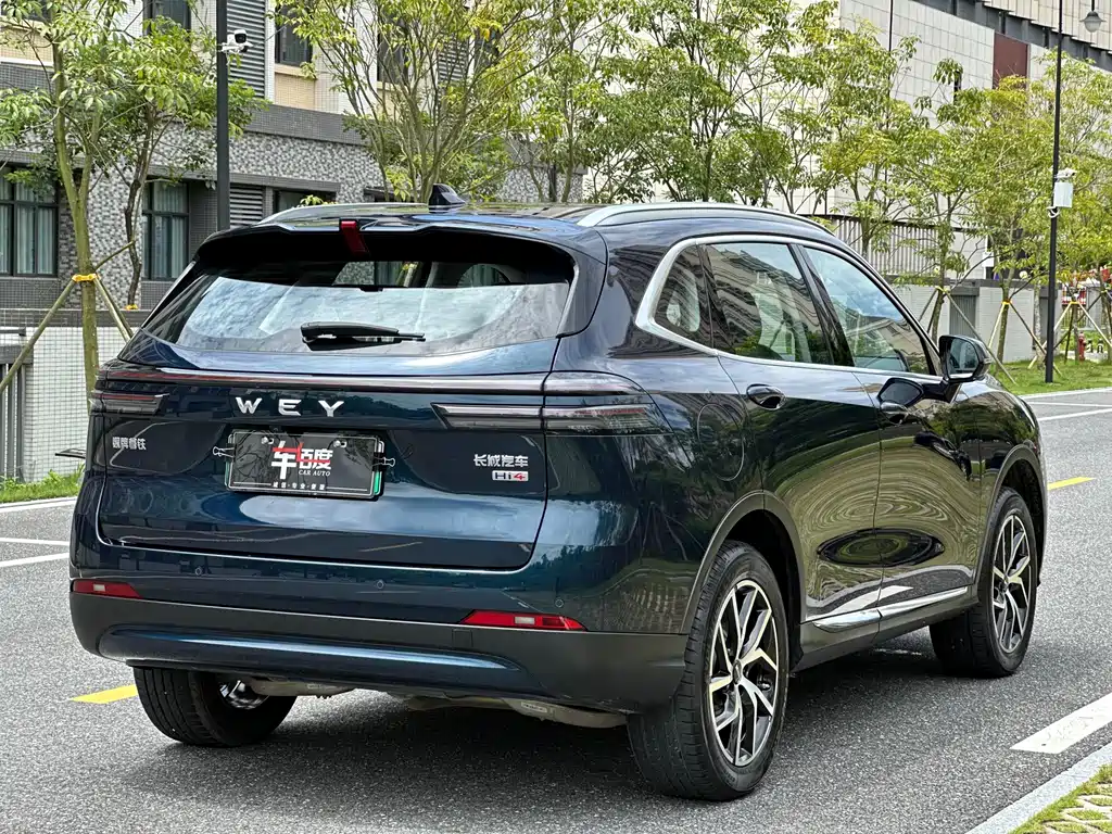 WEI PAI WEI BRAND LATTE DHT PHEV