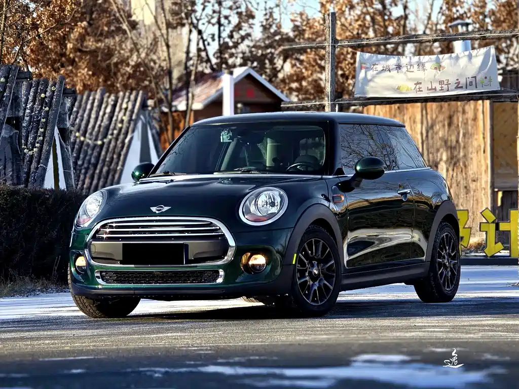 Mini Mini 2018