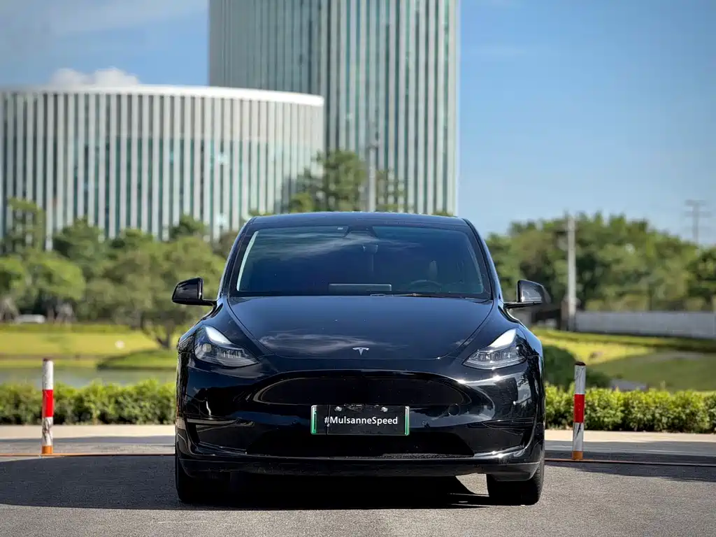 Tesla Model Y — миниатюра 2